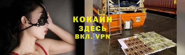 ешки Гатчина