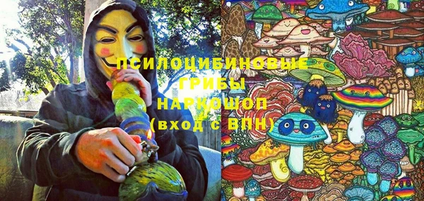 таблы Протвино