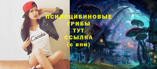 таблы Протвино