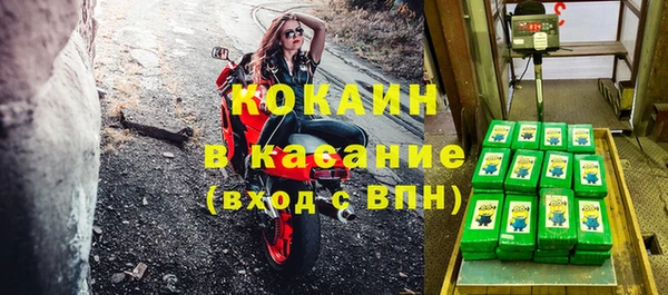 ешки Гатчина